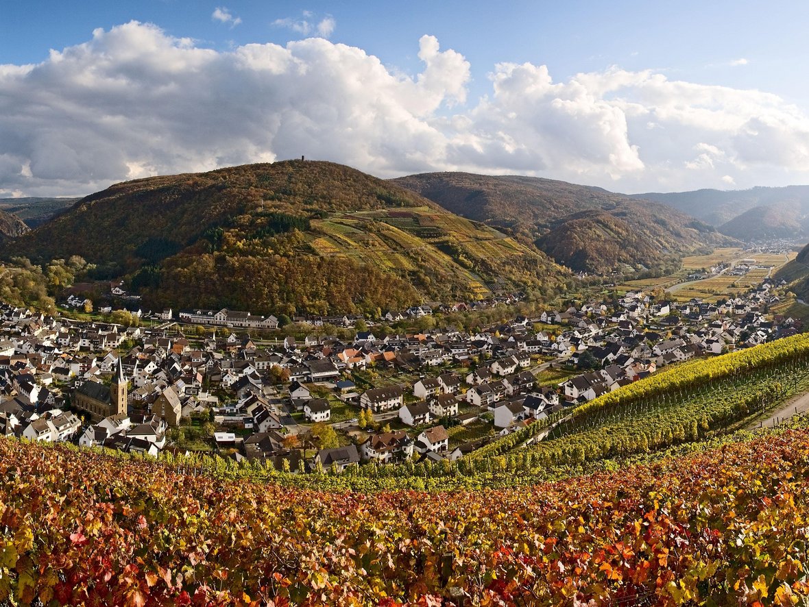 Panorama Dernau Panorama Dernau