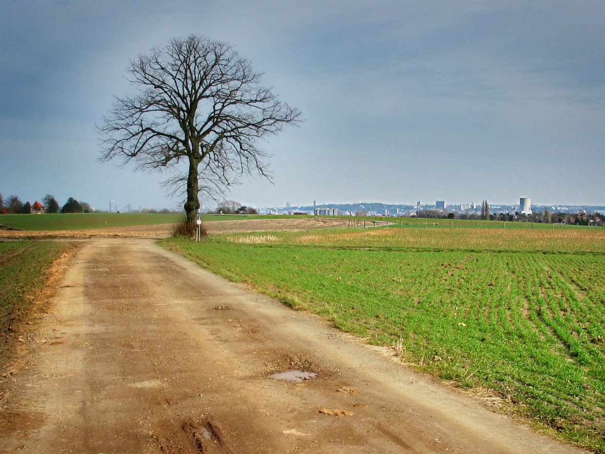 Brüssel im Hintergrund
