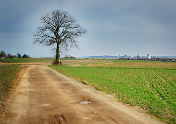 Brüssel im Hintergrund