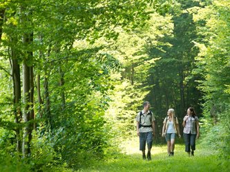 Wanderer bei Berg